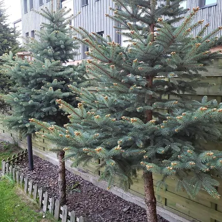 Διαμέρισμα Aga13 Mikołajki