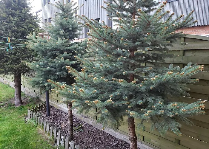 Apartment Aga13 Mikolajki (Mragowo)